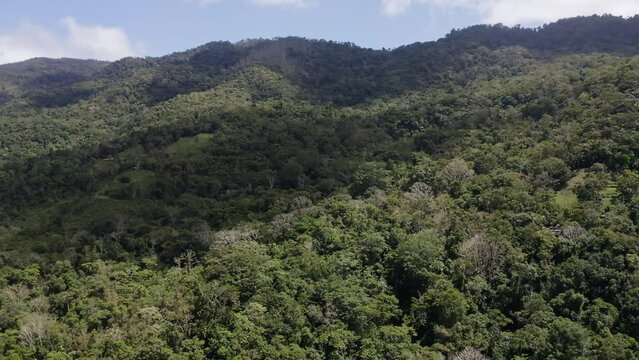 Aerial view of green mountains on a sunny day. Guarapo, Carabobo State. Venezuela