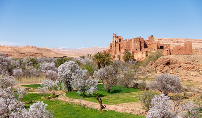 Fototapeta premium Amazing view of Kasbah Ait Ben Haddou , Tamedakhte near Ouarzazate- Morocco