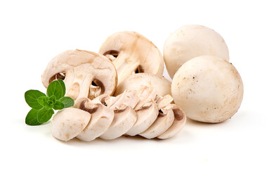 Champignons, close-up, isolated on white background.