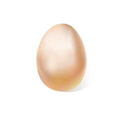 Egg realistic illustration. For your decor