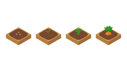 農場ゲームのイラスト_成長するにんじん_アイソメトリック