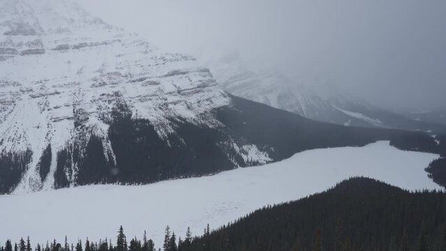 Moody of Peyto Lake similar a fox with blizzard in the valley on snowing day at Banff national park