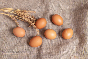 Chicken eggs and ears of wheat on burlap background. Fresh natural eggs