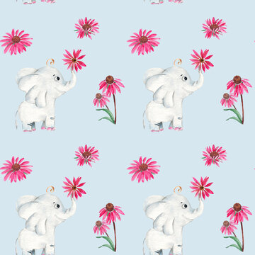 Seamless pattern with cute elephant and echinacea flowers. Watercolor hand drawn illustration. © Tatiana