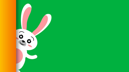 little and cute bunny animation on green screen