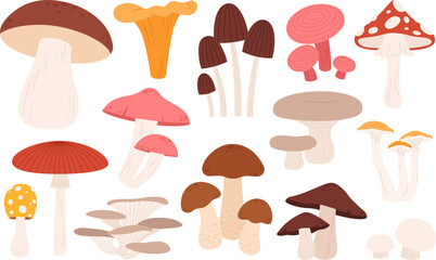 Cartoon mushrooms, autumn mushrooms wild harvest. Forest isolated organic raw, amanita and shiitake. Food and decorative, racy vector clipart
