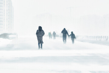 A snowstorm in the city. People are walking down the street during a snowstorm. Strong wind and...