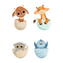 Vector collection of animals in eggshell. Colorful children's illustrations.
