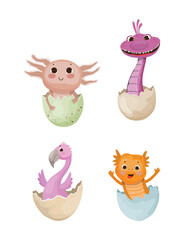 Vector collection of animals in eggshell. Colorful children's illustrations.
