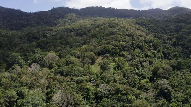 Aerial view of green mountains on a sunny day. Guarapo, Carabobo State. Venezuela
