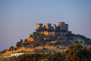 Almodovar del Rio Castle in Andalusia, Spain - obrazy, fototapety, plakaty