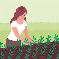 Obraz na płótnie Canvas The young woman planted a young seedling in the ground. Gardening outdoors. Growing and caring for plants in a greenhouse. Vector cartoon illustration