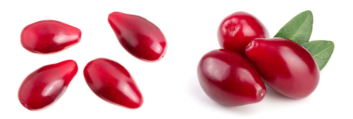 Red berries of cornel or dogwood isolated on white background. Top view. Flat lay