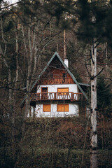 house in the woods