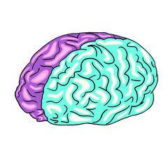 Cute cartoon illustration of Human brain  on Transparent Background