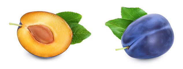 fresh blue plum half with leaves isolated on white background