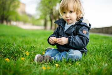 Cute toddler boy playing in the grass in Bergamo. Little child having fun exploring in Citta Alta, upper district of Bergamo. Bergamo, Italy.
