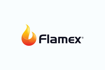 Creative Fire Logo Template