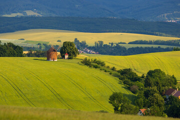 Fototapeta na wymiar Windmill in Chvalkovice, Southern Moravia, Czech Republic
