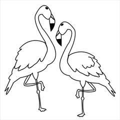 Cute vector flemish single and with couple bird cartoon illustration art.