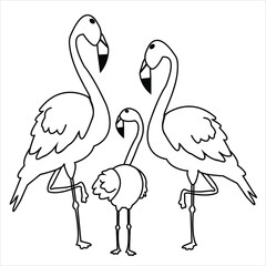 Cute vector flemish single and with couple bird cartoon illustration art.