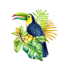 watercolor botanical illustration, hand painted toucan in the jungle, green palm leaves, paradise bird, tropical nature, isolated on white background