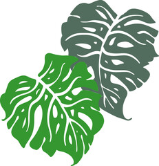 Monstera tropical green leaf drawing. Exotic nature palm plants theme illustration, decorative vector element for logo design, postcard, party invitation deco, restaurant menu, spa salon. Hand drawing