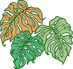 Monstera tropical green leaf drawing. Exotic nature palm plants theme illustration, decorative vector element for logo design, postcard, party invitation deco, restaurant menu, spa salon. Hand drawing