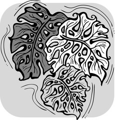 Monstera tropical green leaf drawing. Exotic nature palm plants theme illustration, decorative vector element for logo design, postcard, party invitation deco, restaurant menu, spa salon. Hand drawing