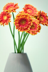 Closeup shot of beautiful red and yellow flowers in the vase 