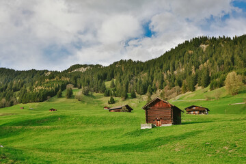Fototapeta na wymiar Wooden huts on mountain meadow field. Alpine living