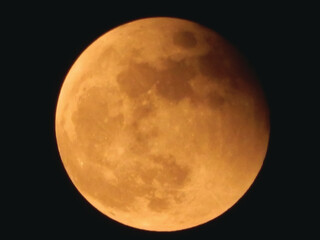 full moon in the night