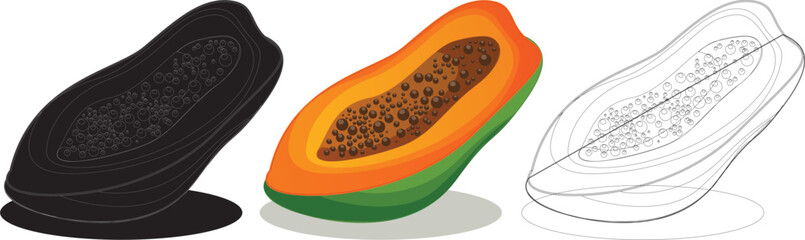 Papaya fruit design illustration Vector