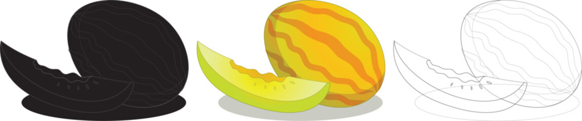 Melon fruit design illustration Vector