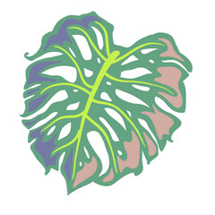 Monstera tropical green leaf drawing. Exotic nature palm plants theme illustration, decorative element for logo design, postcard, party invitation deco, restaurant menu, spa salon. Hand drawing.