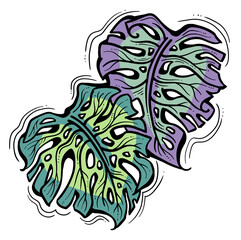 Monstera tropical green leaf drawing. Exotic nature palm plants theme illustration, decorative element for logo design, postcard, party invitation deco, restaurant menu, spa salon. Hand drawing.