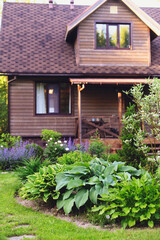 Fototapeta na wymiar Wooden country house with hostas and flowers planted in mixed border. Summer cottage garden.