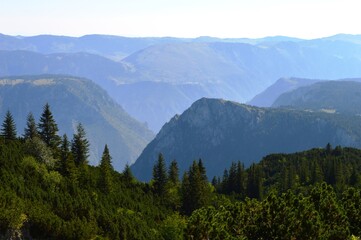Mountain landscape in the summer