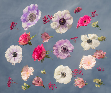 floating fresh spring flowers on mirror and sblue sky
