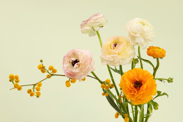 Beautiful colorful flowers, buds, delicate petals. Stylish bouquet. Postcard with natural flowers. Studio lime background. Copy space.  Nobody. Horizontal. Floristic, birthday card, flower concept.