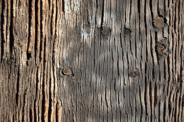 old weathered wood texture. Generative AI