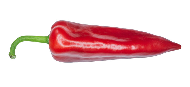Red chili capia pepper isolated on a transparent background. Pepper png.