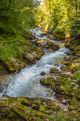 The Radovna stream flowing through the forest and between rocks in Vintgar gorge, Slovenia
