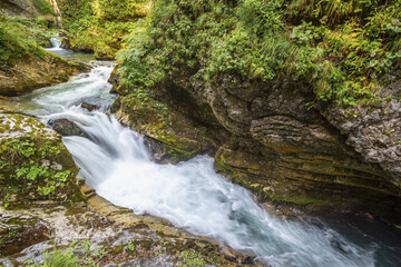 The Radovna stream flowing through the forest and between rocks in Vintgar gorge, Slovenia
