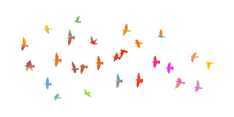 Fototapeta na wymiar Abstract colored flying birds. Mixed media. Vector illustration
