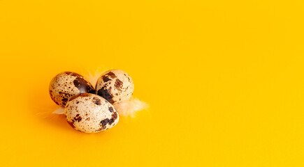 Easter holiday greeting card. Three quail eggs and feather on yellow paper background with copy space or empty place for text. Religious spring layout. Healthy food. Gentle pastel color design mockup