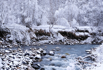 mountain river in the forest in winter