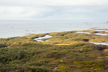 Foto op Plexiglas Reinefjorden Mountains by the sea