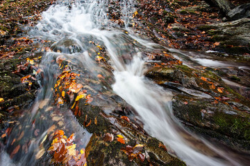 Fototapeta na wymiar Mountain stream in autumn, stream in the forest.