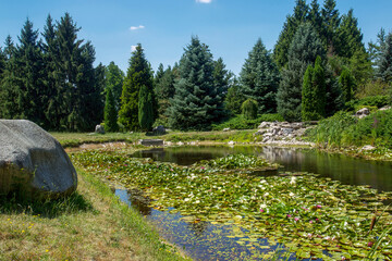 Idyllic summer : Pond with water lilies   in Arboretum Mlyňany , Slovakia